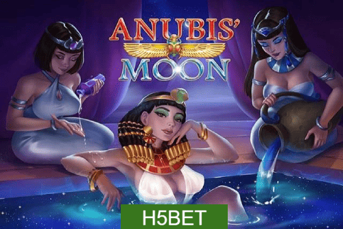 Multi-Sport Coverage